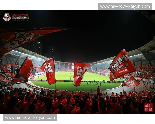 NFL，点燃你的激情：从赛场到生活的无限能量