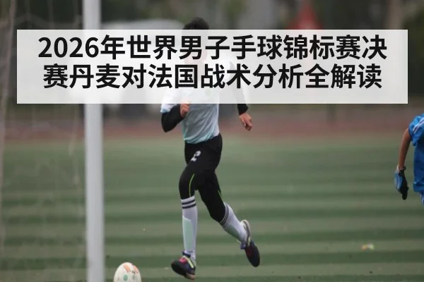 2026年世界男子手球锦标赛决赛丹麦对法国战术分析全解读